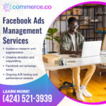 Facebook Ads management services
